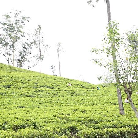 شقة Ella Tea Land View المظهر الخارجي الصورة