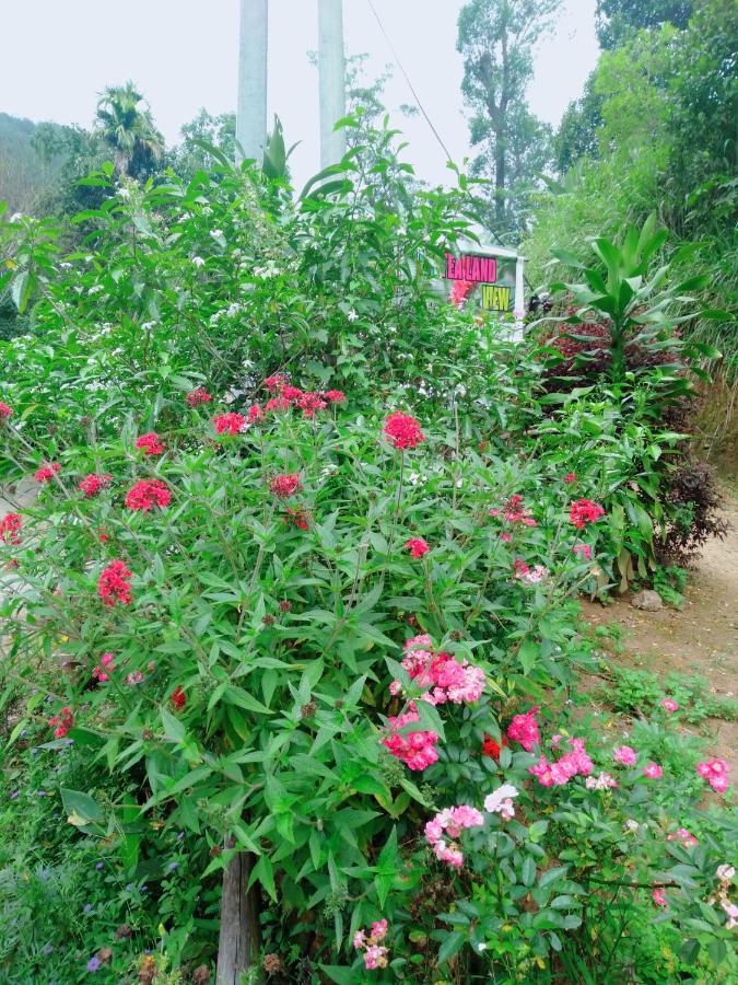 شقة Ella Tea Land View المظهر الخارجي الصورة