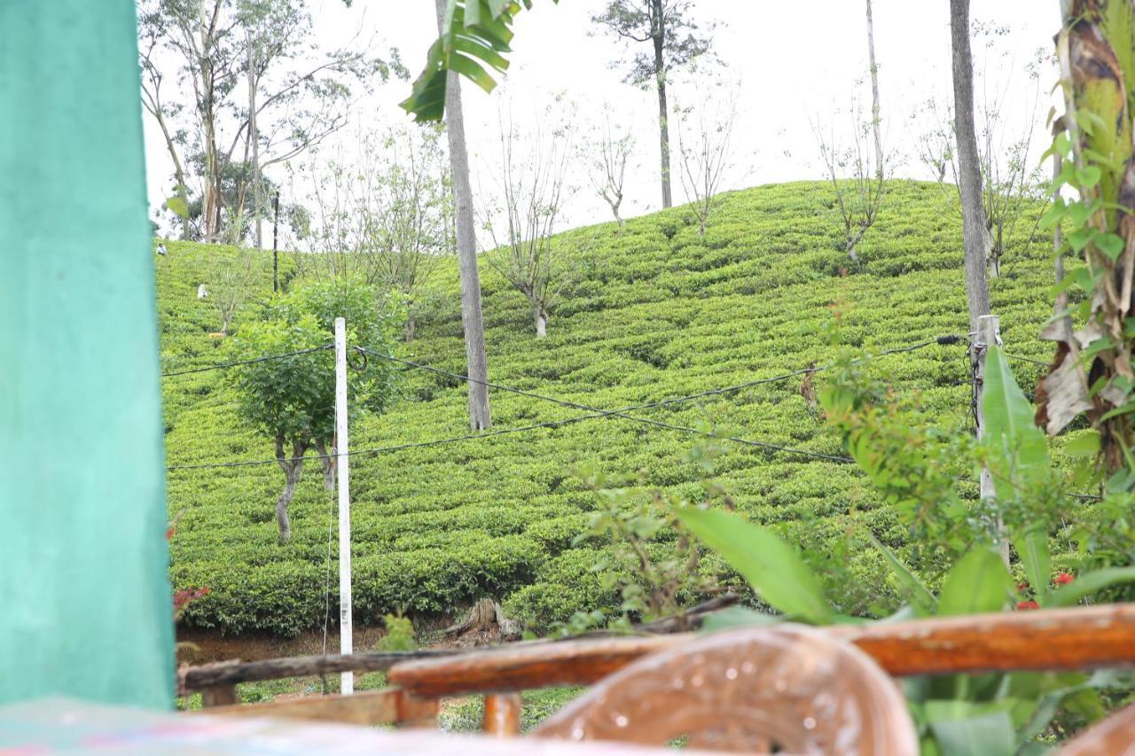 شقة Ella Tea Land View المظهر الخارجي الصورة
