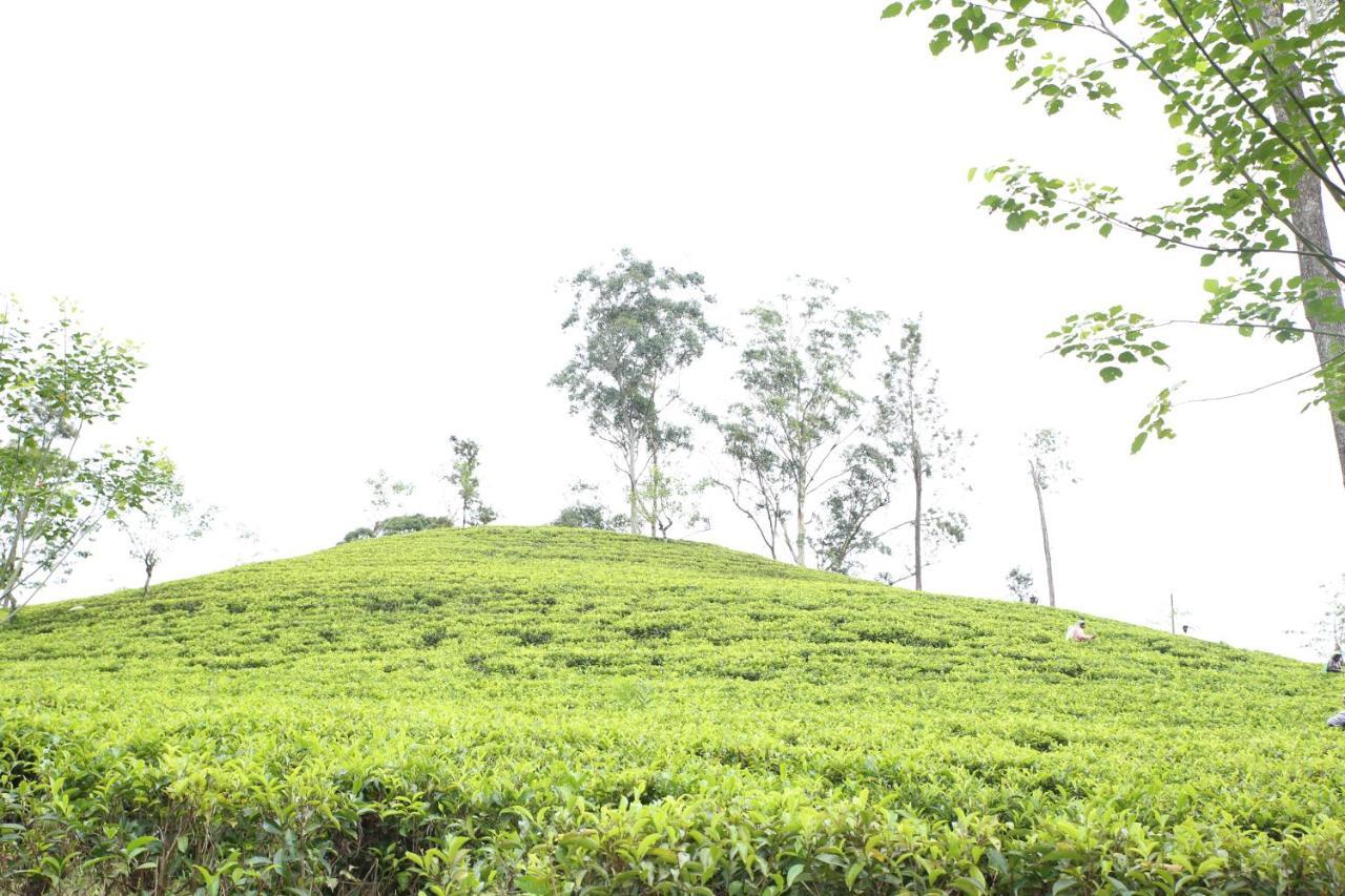 شقة Ella Tea Land View المظهر الخارجي الصورة